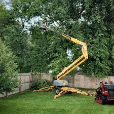 Best Lawn Irrigation Installation and Maintenance  in Lincoln, MO
