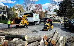 Best Aeration Services  in Lincoln, MO