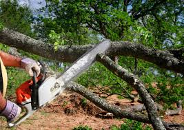 Lawn Maintenance Plans in Lincoln, MO